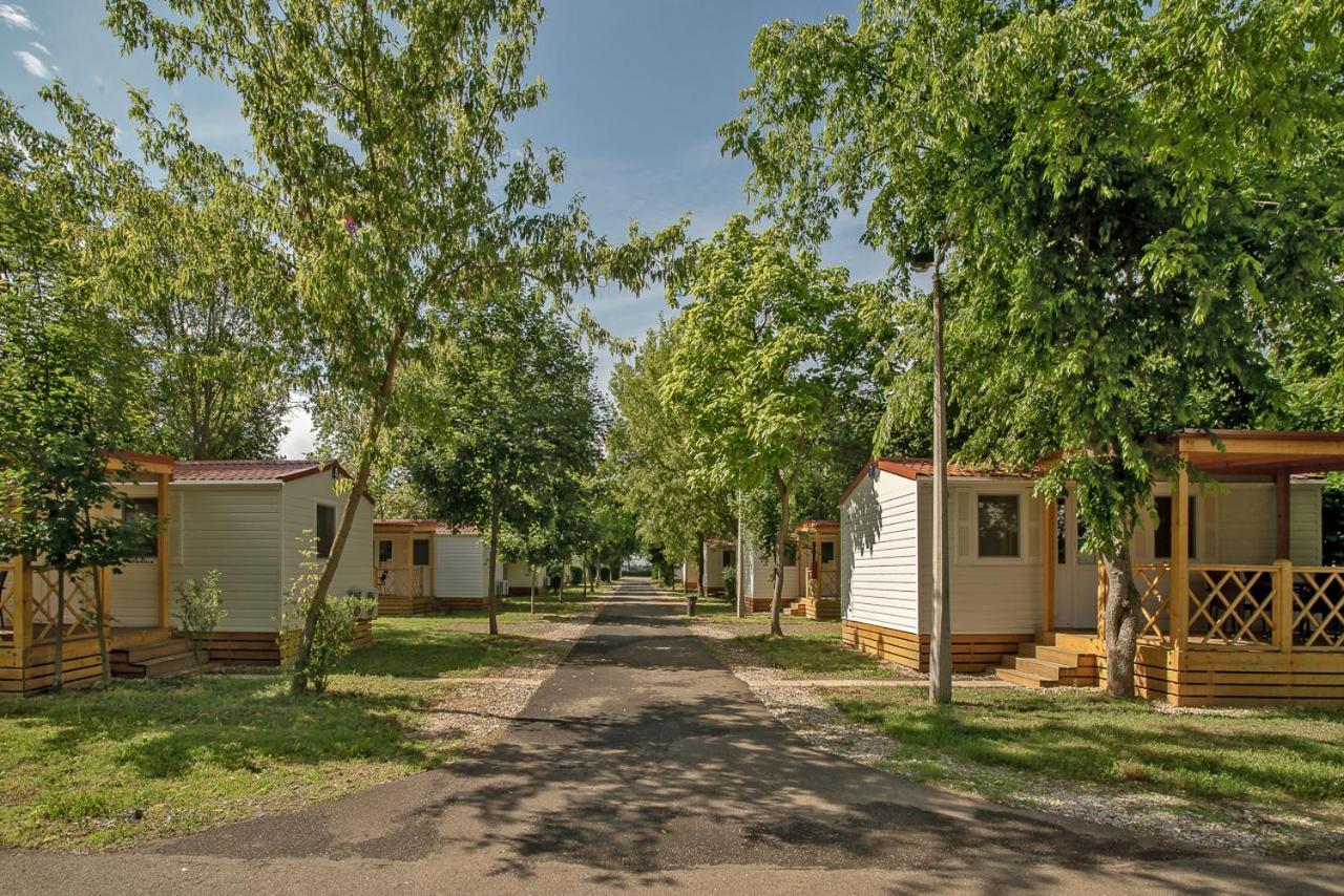 Hungarospa Thermal Camping Mobilhaz Hajdúszoboszló Zewnętrze zdjęcie